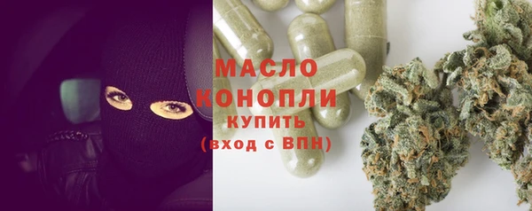 шишки Корсаков