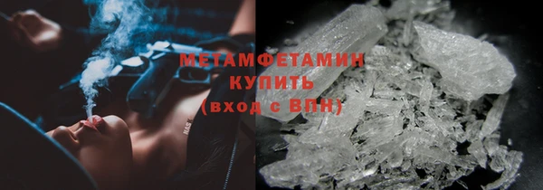 шишки Корсаков