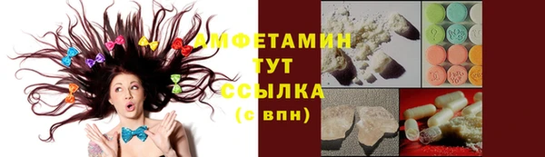 шишки Корсаков