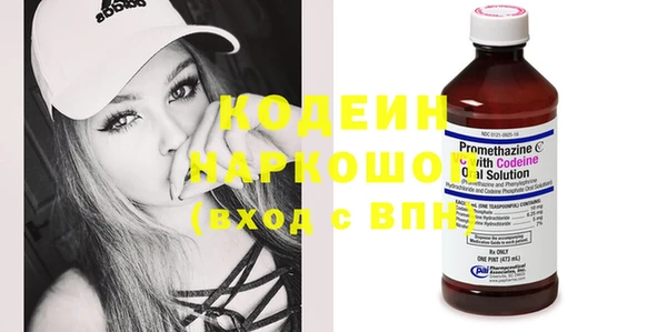 шишки Корсаков
