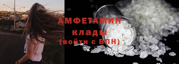 шишки Корсаков