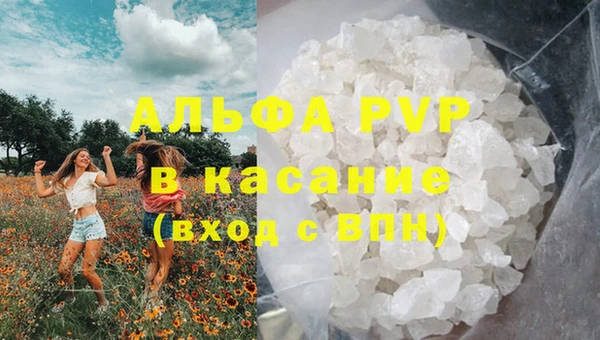 шишки Костерёво