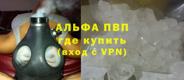 шишки Корсаков