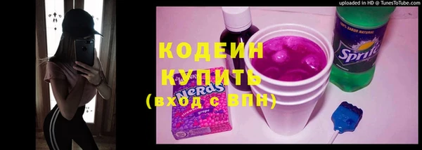 шишки Корсаков
