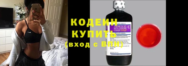 шишки Костерёво