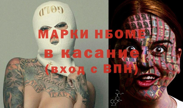 шишки Корсаков