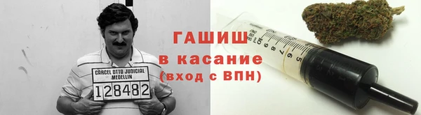 шишки Костерёво