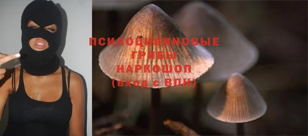 шишки Костерёво
