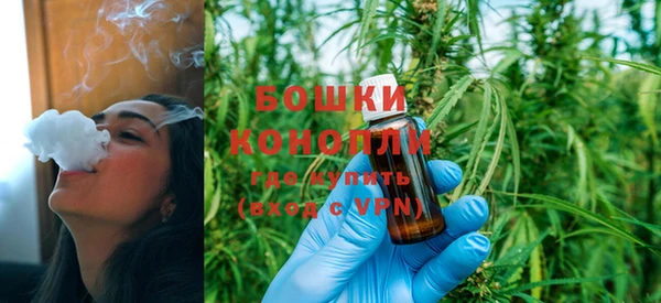 шишки Корсаков