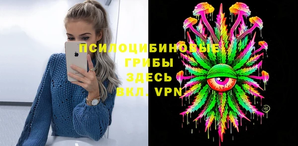 apvp Коряжма
