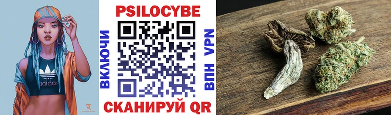 Псилоцибиновые грибы Psilocybine cubensis  Купить  Горячий Ключ 